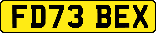 FD73BEX