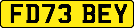 FD73BEY