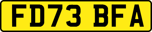 FD73BFA