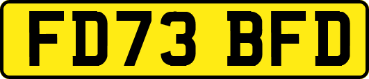 FD73BFD