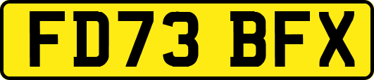 FD73BFX