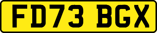 FD73BGX