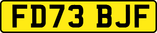FD73BJF