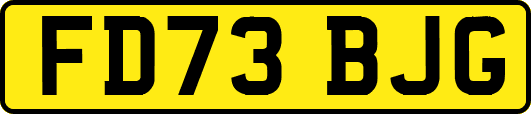 FD73BJG