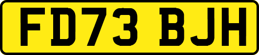 FD73BJH