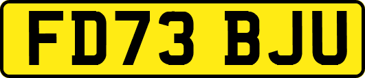 FD73BJU