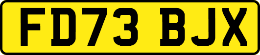 FD73BJX