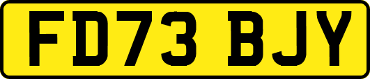 FD73BJY