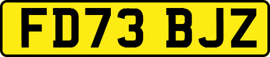 FD73BJZ