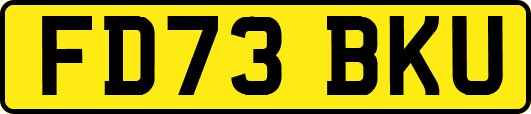 FD73BKU