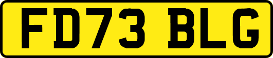 FD73BLG