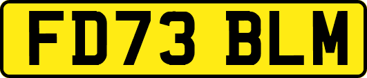 FD73BLM