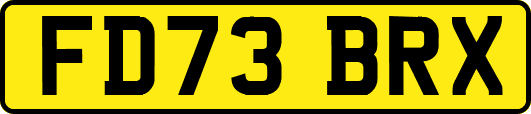 FD73BRX