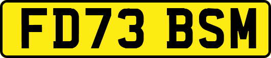 FD73BSM