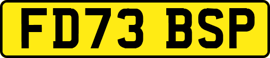 FD73BSP