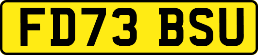 FD73BSU