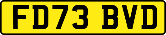 FD73BVD