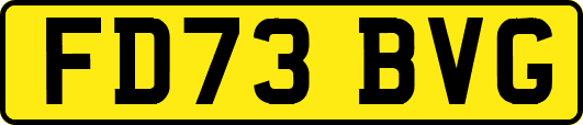 FD73BVG