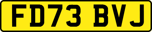 FD73BVJ