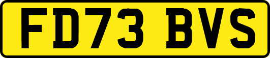 FD73BVS