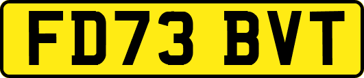FD73BVT