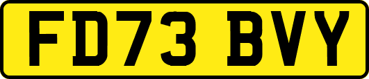 FD73BVY