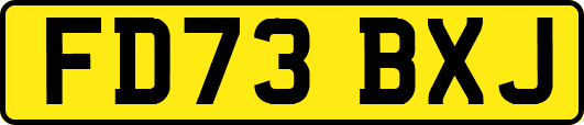 FD73BXJ