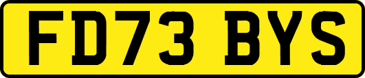 FD73BYS