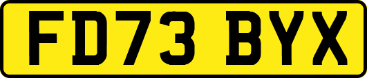 FD73BYX