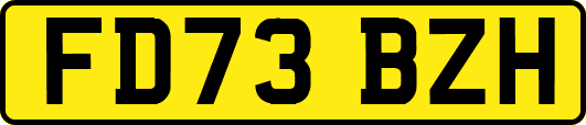 FD73BZH