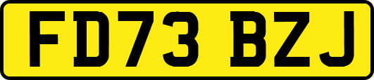 FD73BZJ