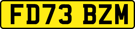 FD73BZM