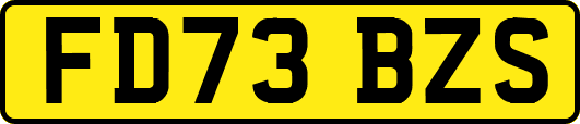 FD73BZS