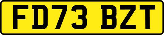 FD73BZT