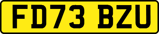 FD73BZU