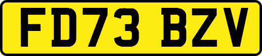 FD73BZV