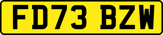 FD73BZW
