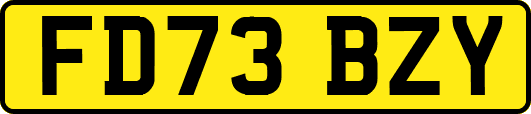 FD73BZY