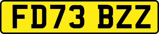 FD73BZZ