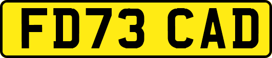 FD73CAD