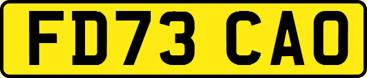 FD73CAO