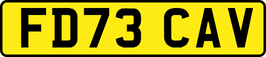 FD73CAV