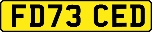 FD73CED