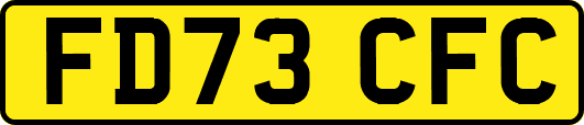 FD73CFC