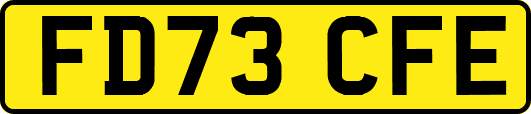 FD73CFE