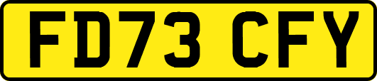 FD73CFY