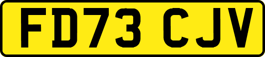FD73CJV