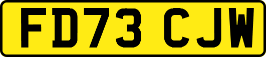 FD73CJW