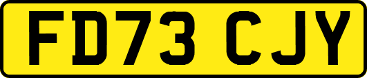 FD73CJY