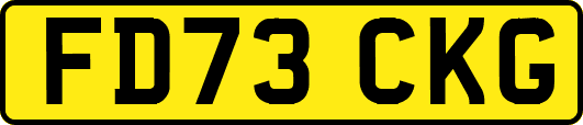FD73CKG